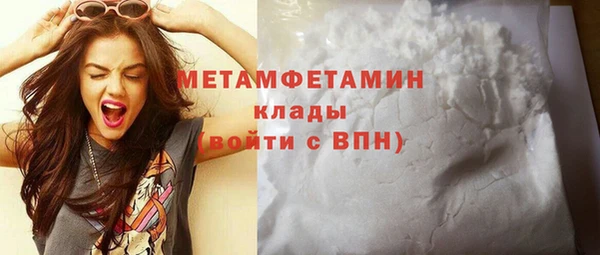 шишки Карпинск