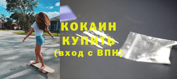 шишки Карпинск