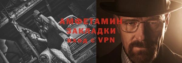 шишки Карпинск