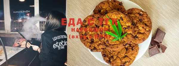 шишки Карпинск