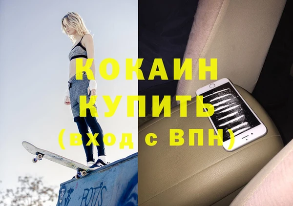 шишки Карпинск